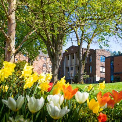 SPU campus springtime image showing bright tulips in Tiffany Loop with McKinley Hall in the background